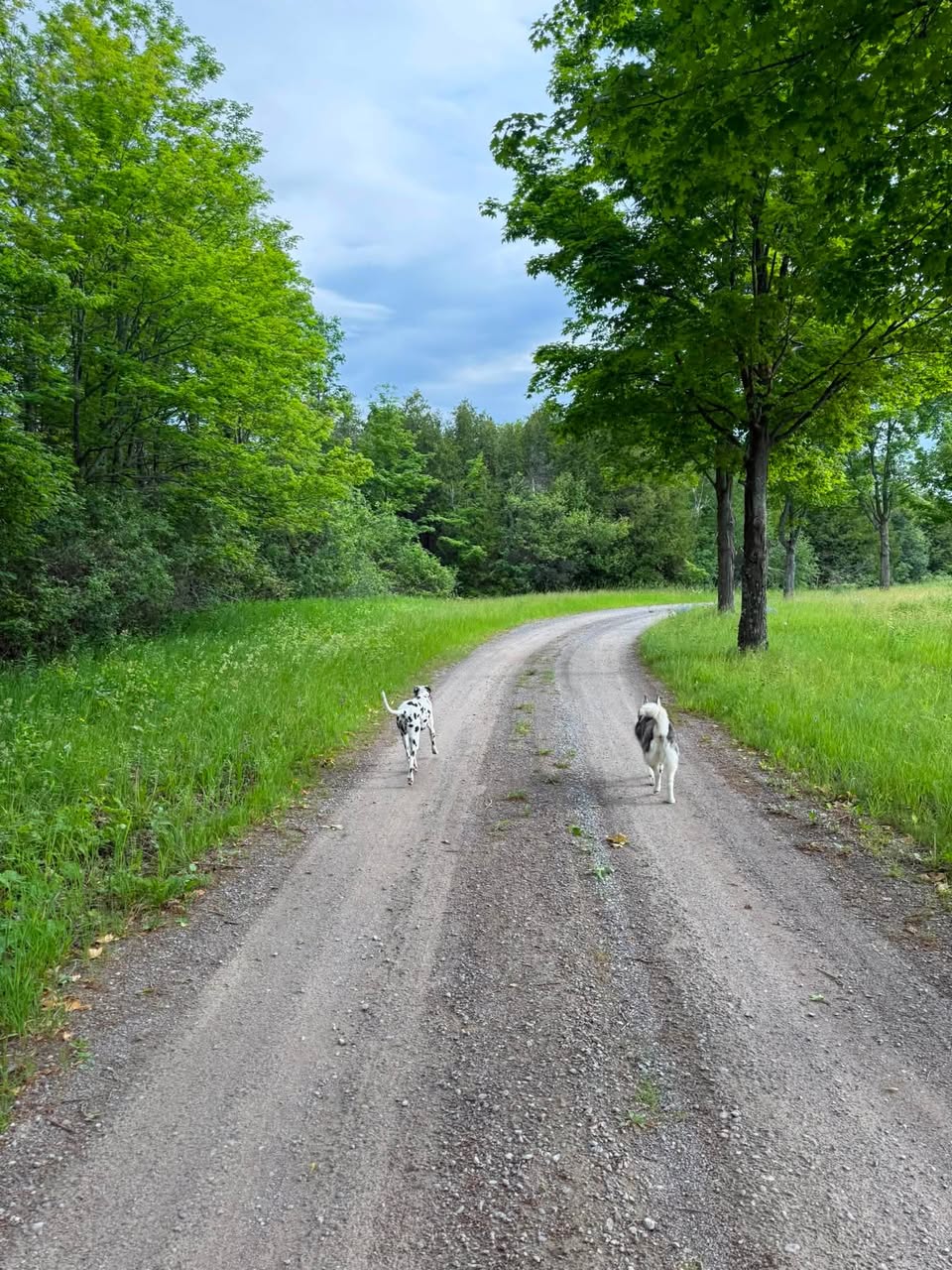 Day 73–77 — 1,706,000 Steps