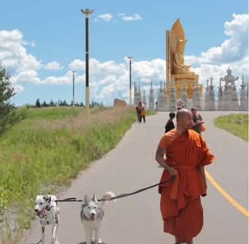 Bhante Bodhicitta walking with his dogs toward the golden Buddha statue at Wutai Shan Buddhist Garden