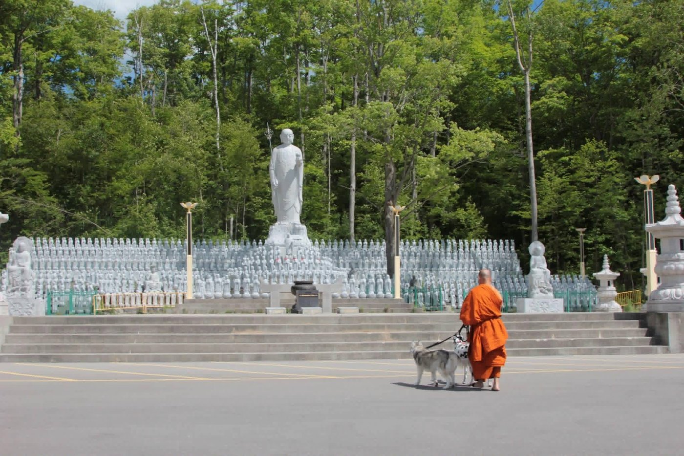 Bhante Bodhicitta walking his dogs past the thousand-Buddha statues at Wutai Shan Buddhist Garden